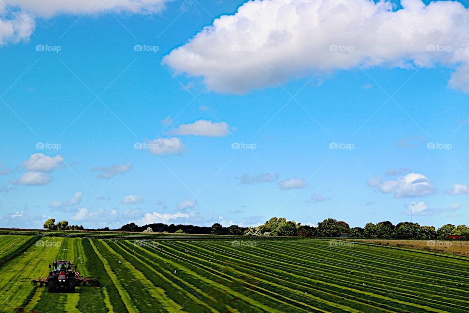 View of the field!