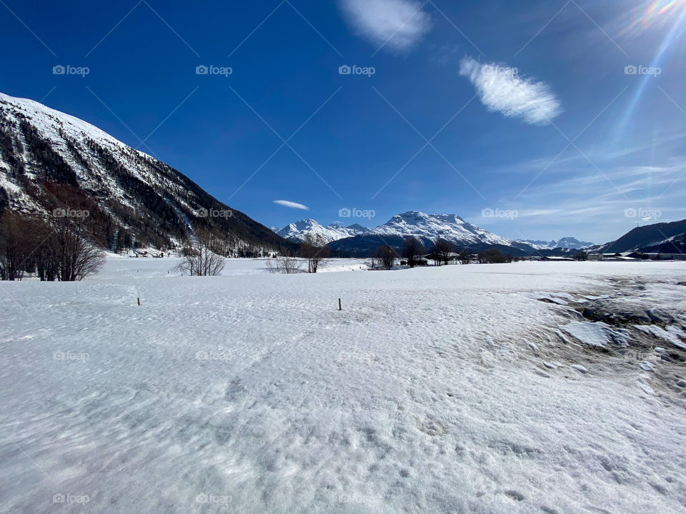 Winter Landscape 