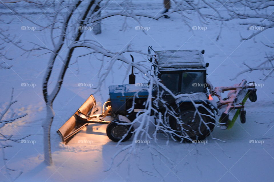 Winter, Snow, Cold, Frost, Frozen