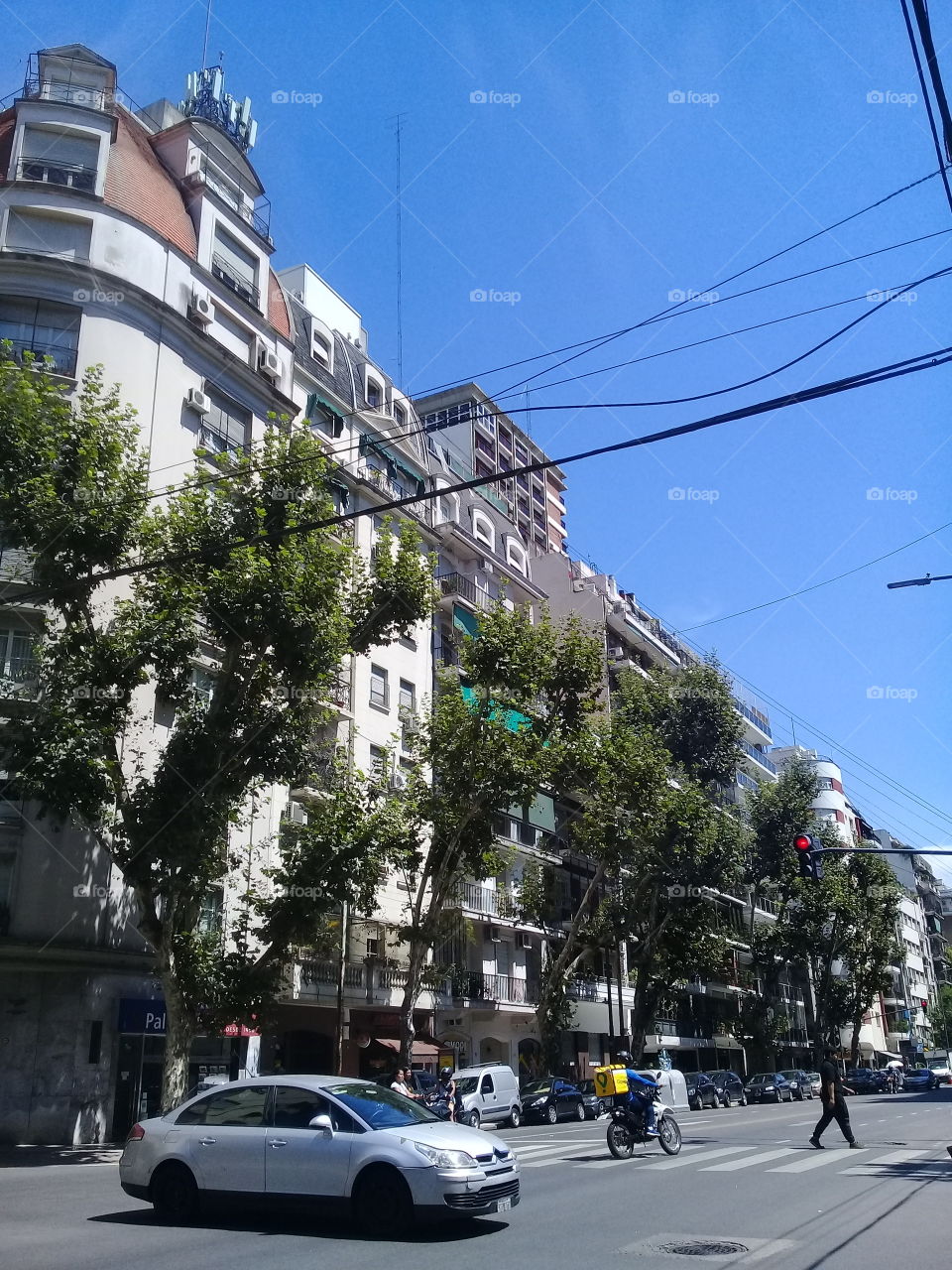 conjunto de antiguos edificios de departamentos situados en una vereda con arboleda, ubicados en una céntrica avenida de la ciudad de Buenos Aires