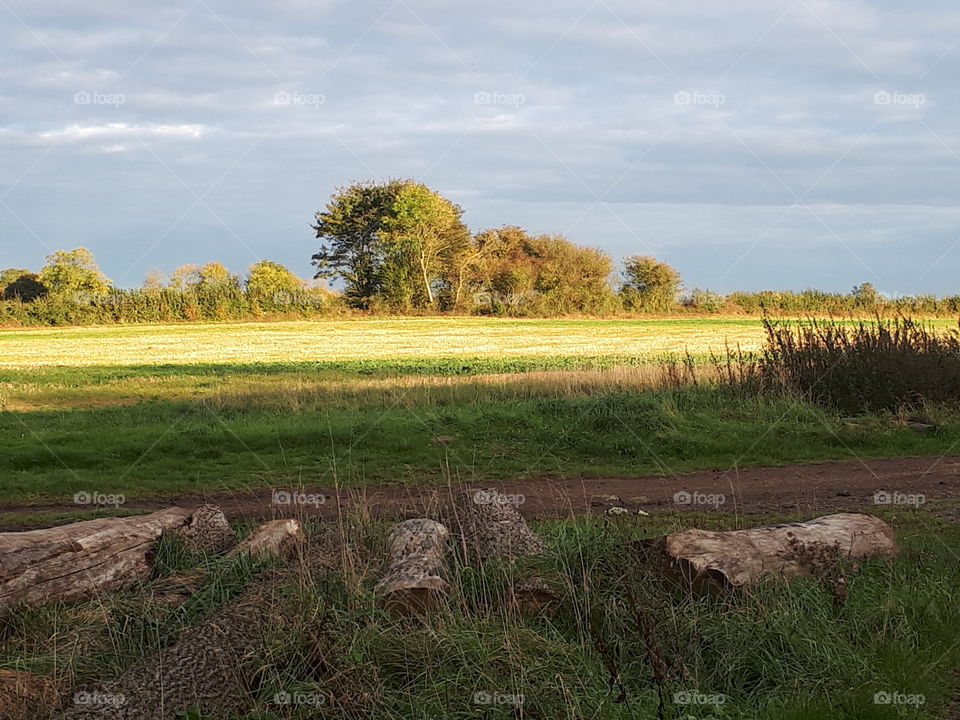 Landscape, No Person, Grass, Sky, Nature