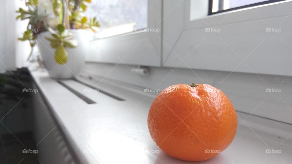 orange tangerine on a windowsill and a plant near a window