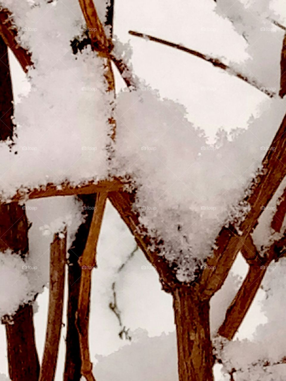 No Person, Snow, Winter, Frost, Cold