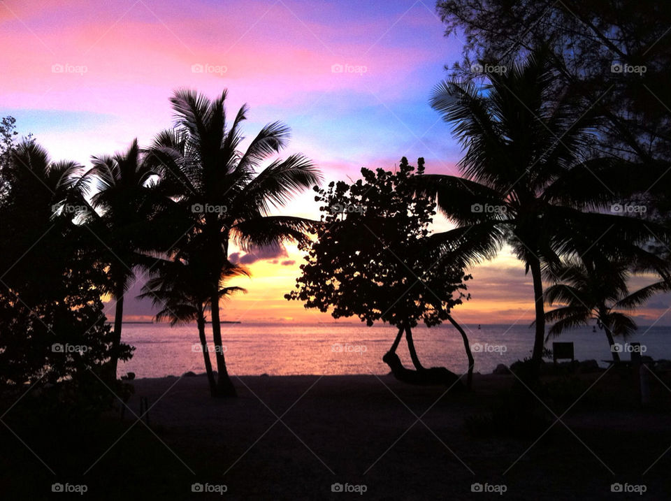 beach sunset palm trees by nasa314
