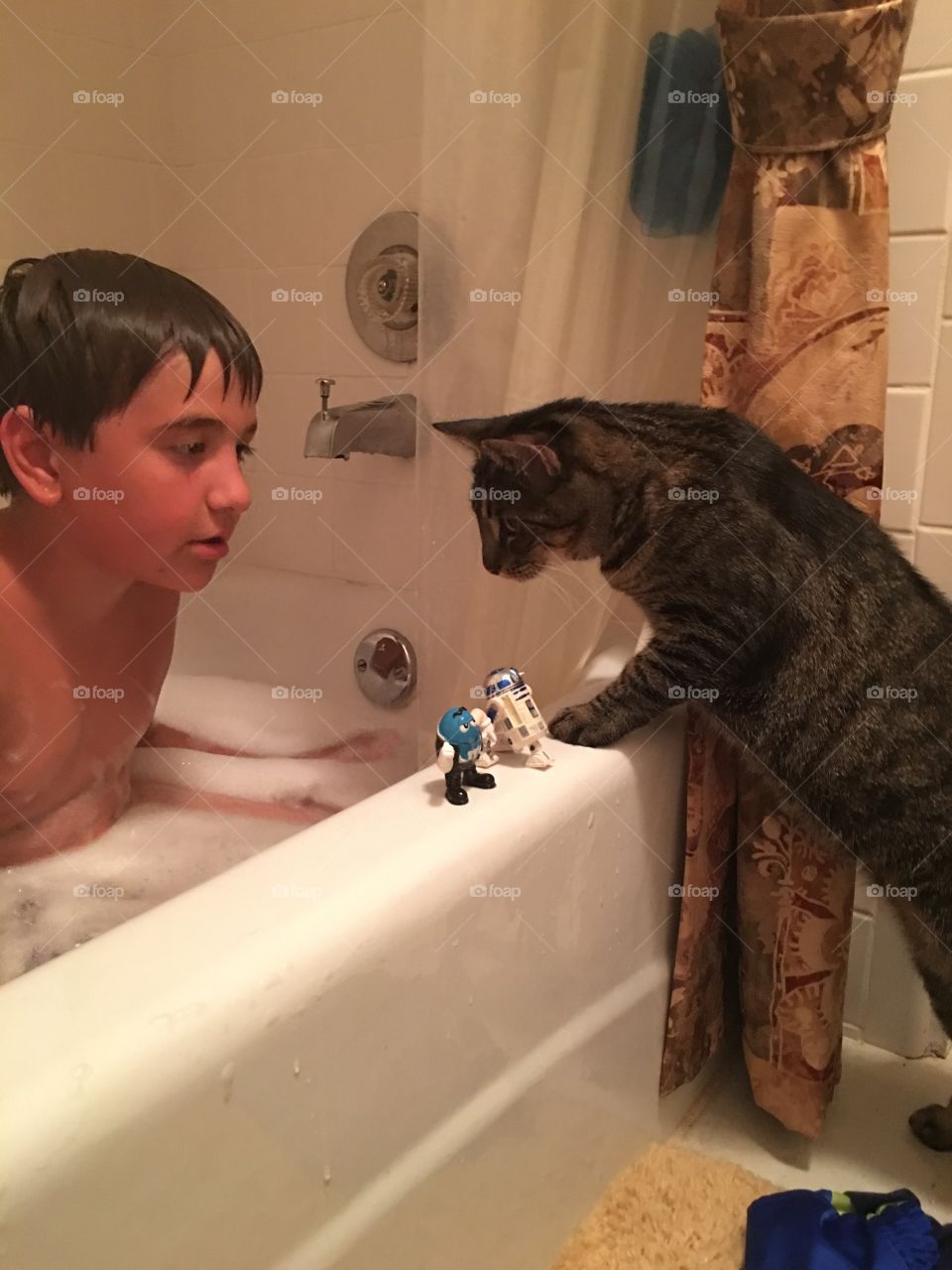 Cat watching a bath