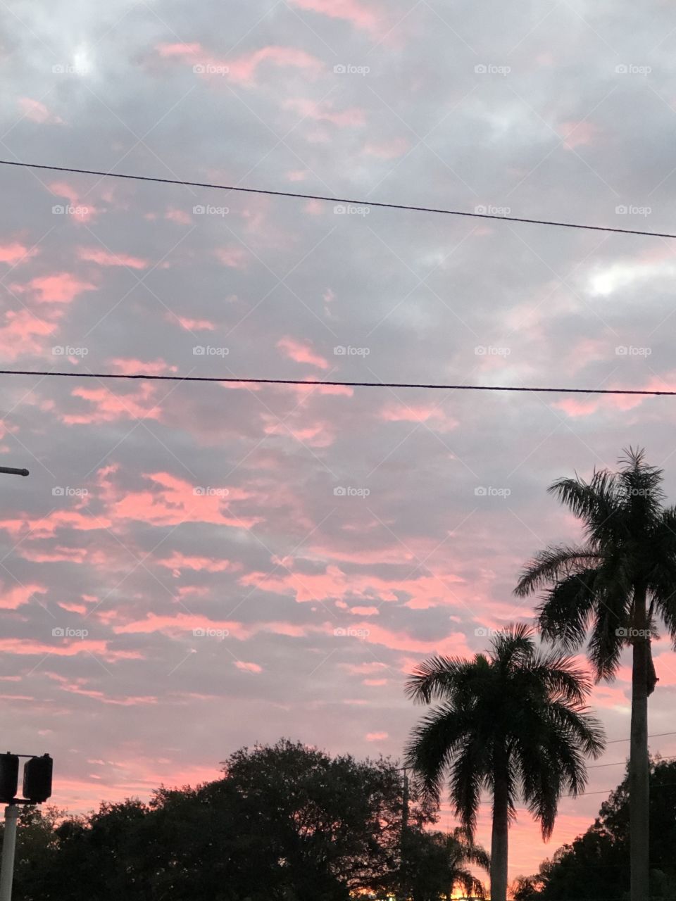 Outdoors Sunset sky, Sun, Palm