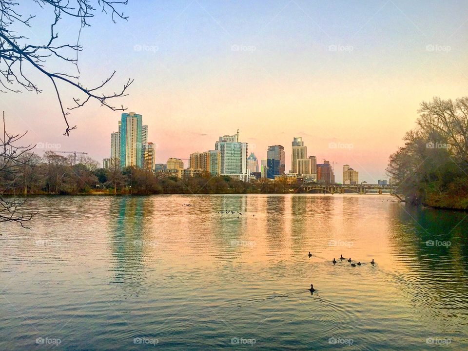 Zilker park in Austin, TX