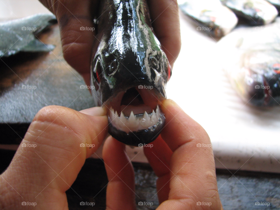 nature teeth monster lake by izabela.cib