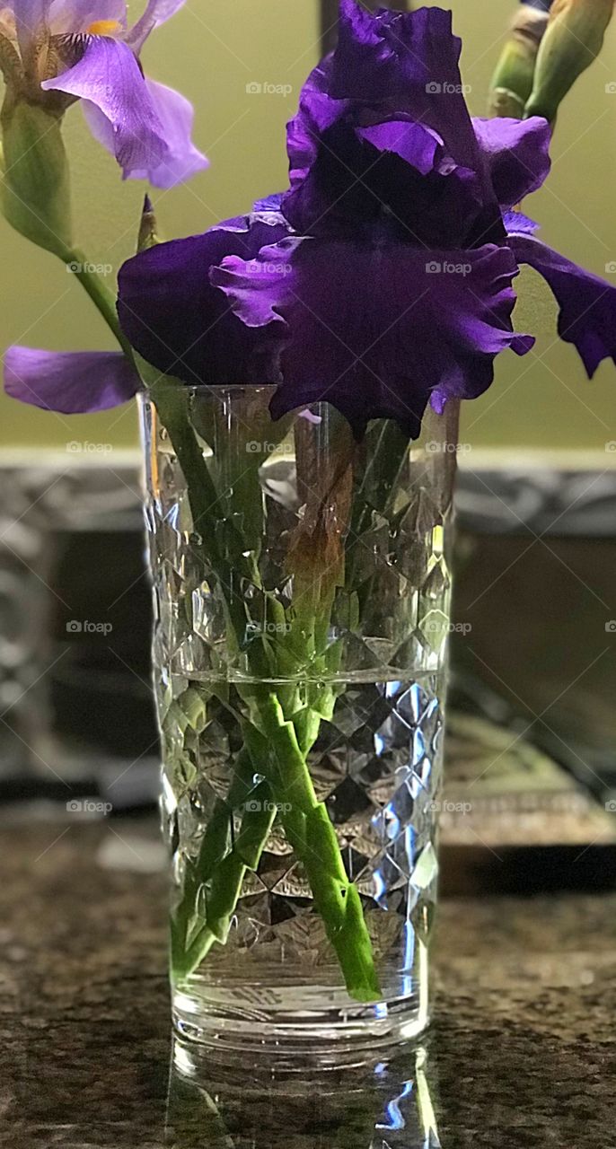 Fresh cut purple irises in crystal vase with water