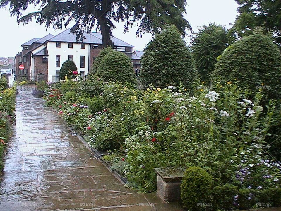 Shakespeare's garden