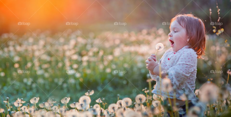 Little girl in dandelion field 