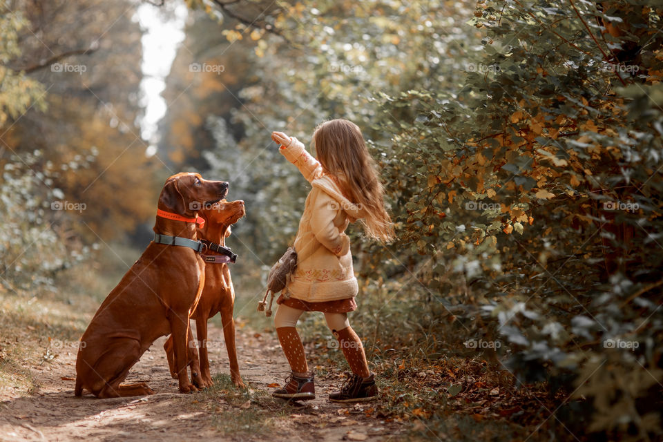 Little girl playing with dogs in an autumn park