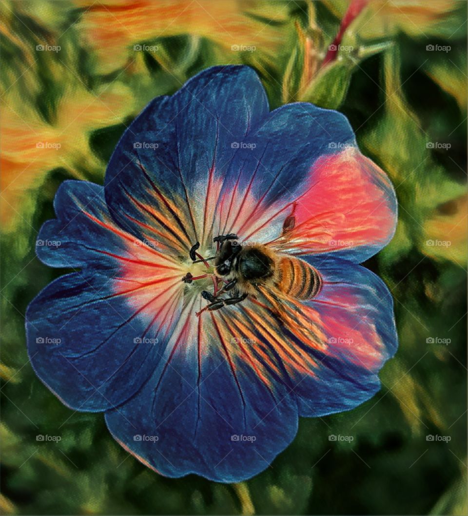 Pollinating 