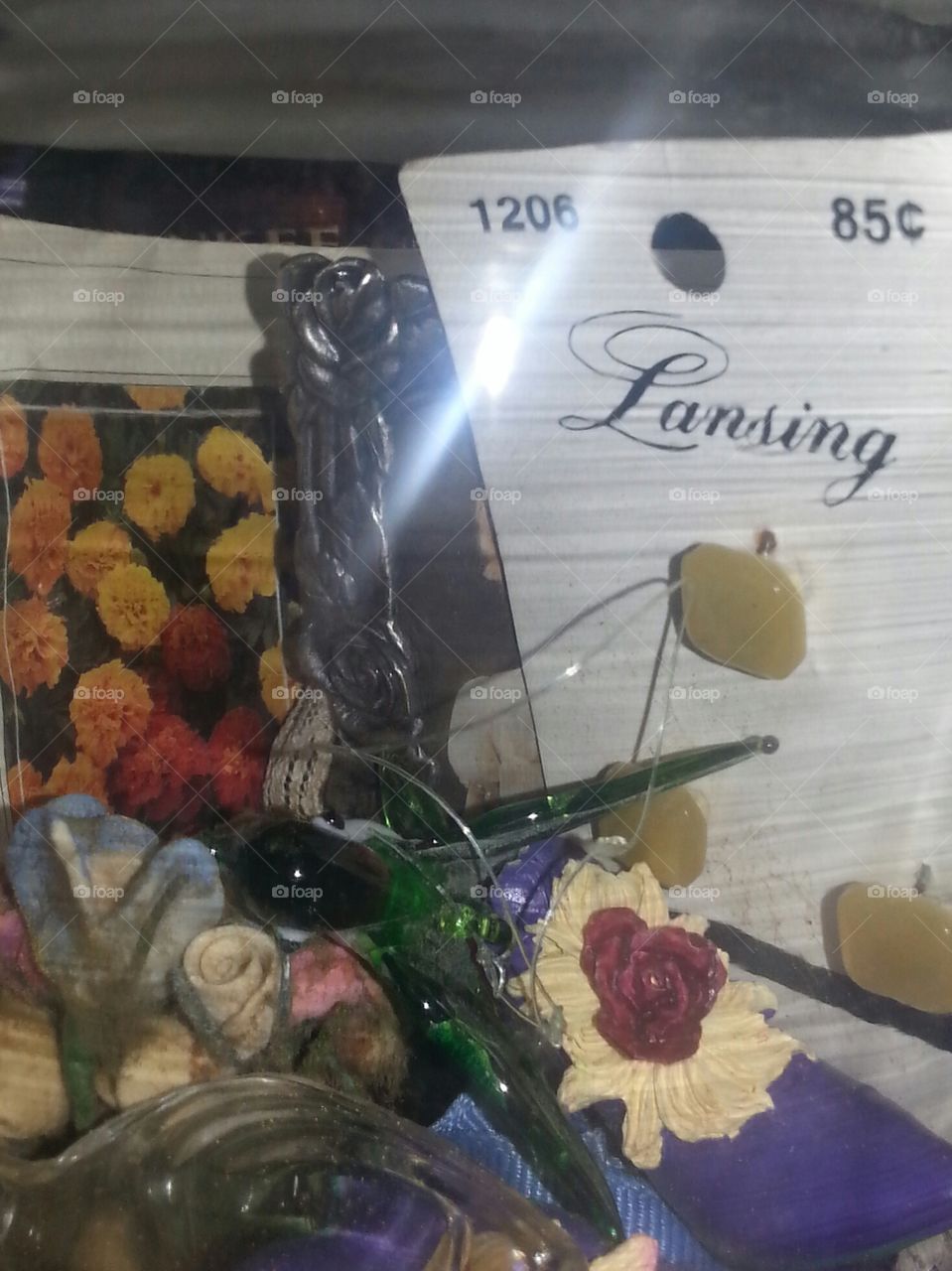 button and flowwr seeds