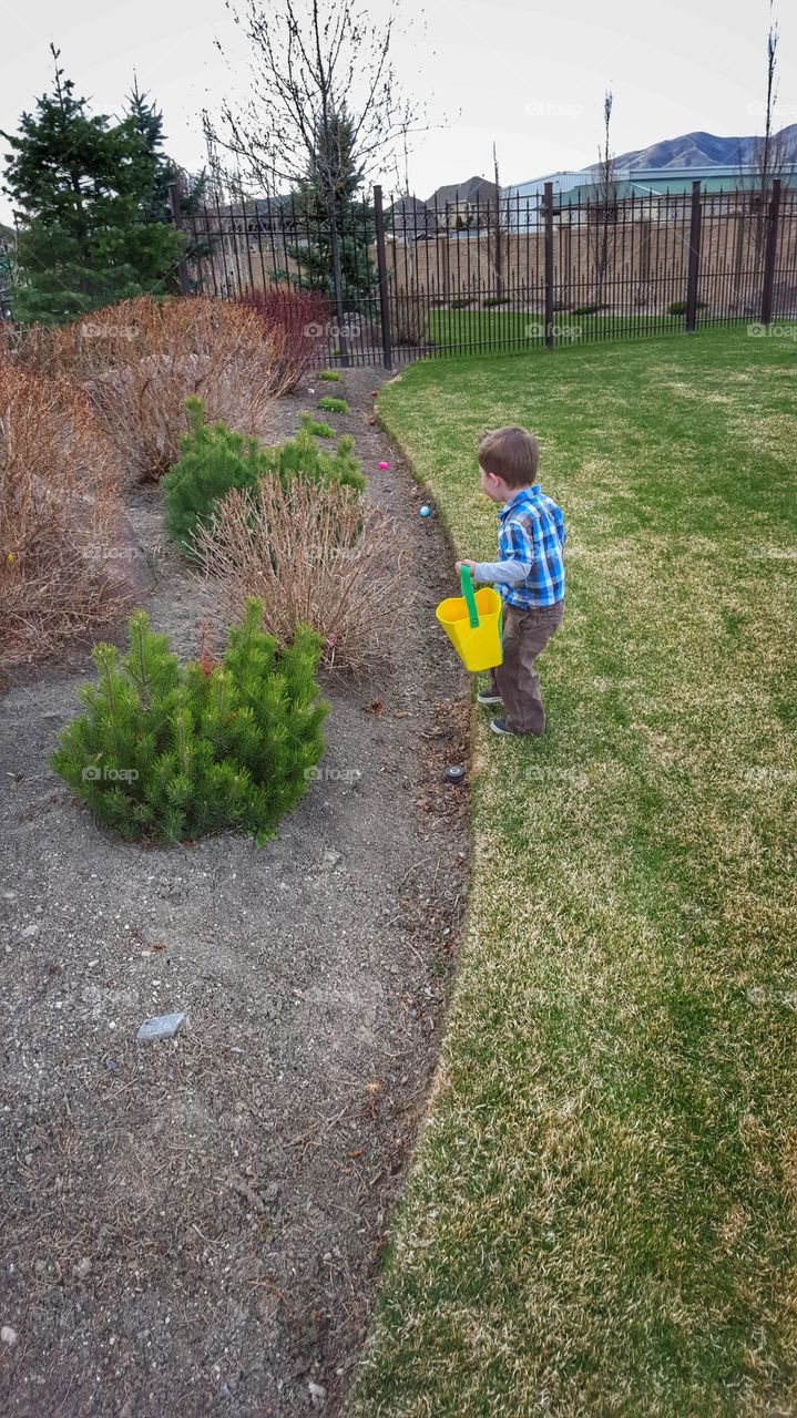 Boy on Easter egg hunt