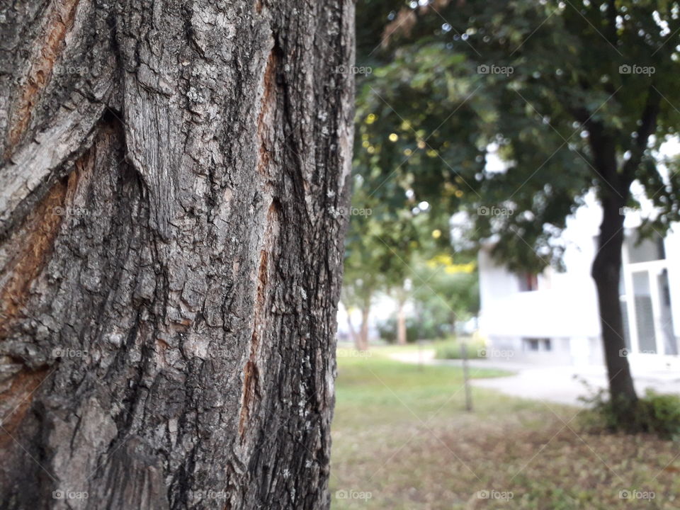 First, thank you all for 100 followers! Next, here's an interesting photo and I guess this is one of the best pictures what I've took ever!