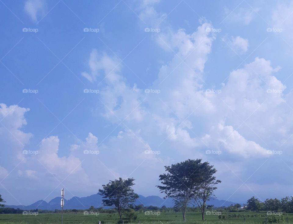 Beautiful panorama of the mountain