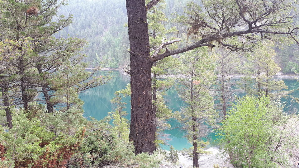 trees! mountains! and lakes oh my! smokey skies but cant get enough :)