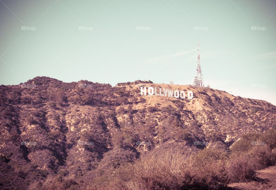 Hollywood