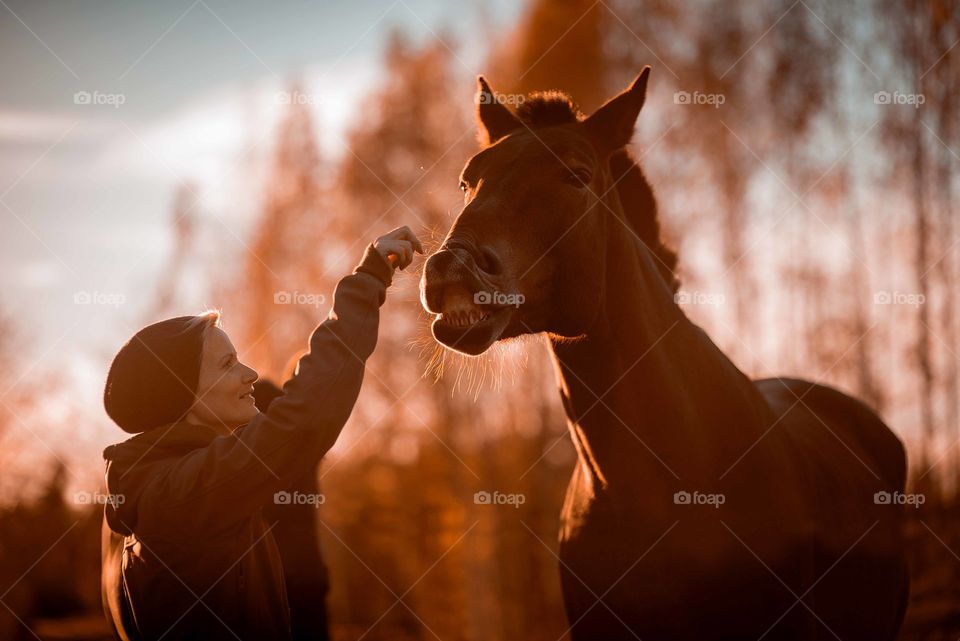 Woman and horse