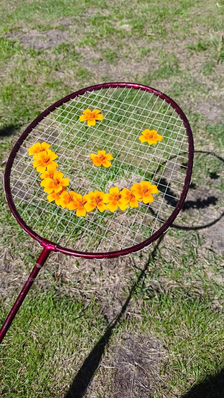 summer, sunny day, shadow, flowers, orange, mesh, rocket, grass, mood, smiley, smile, sky