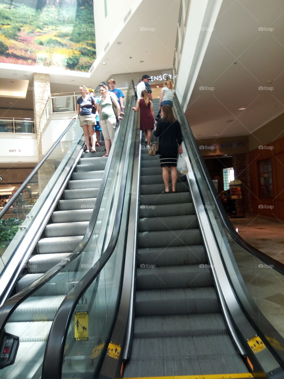 escalator