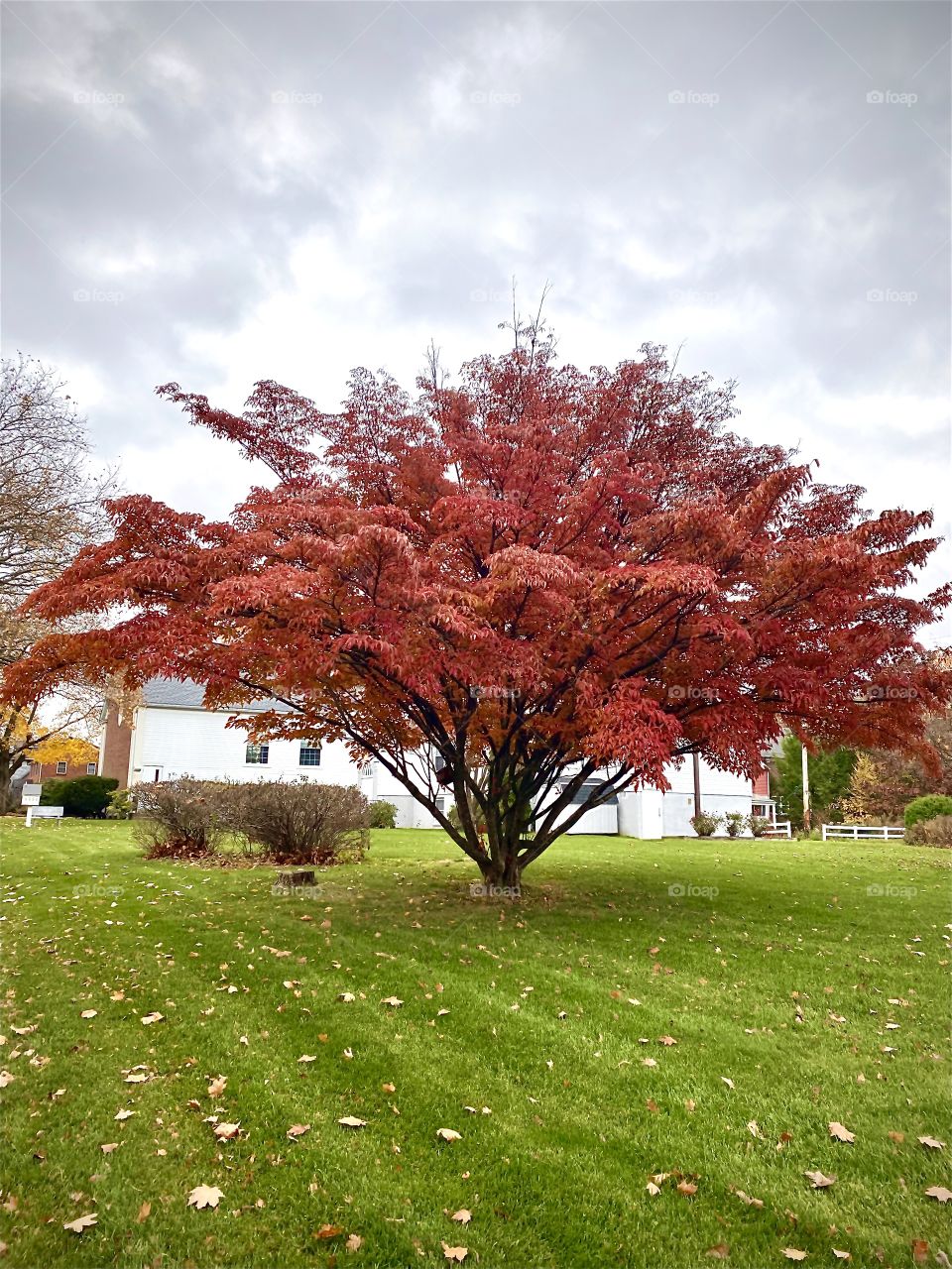 Nature is my favorite part of this world 