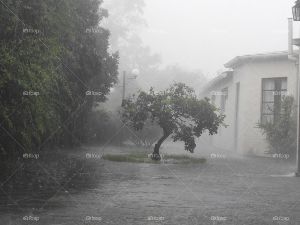 Tormenta Viento Intensa Lluvia Tornado Fuerte