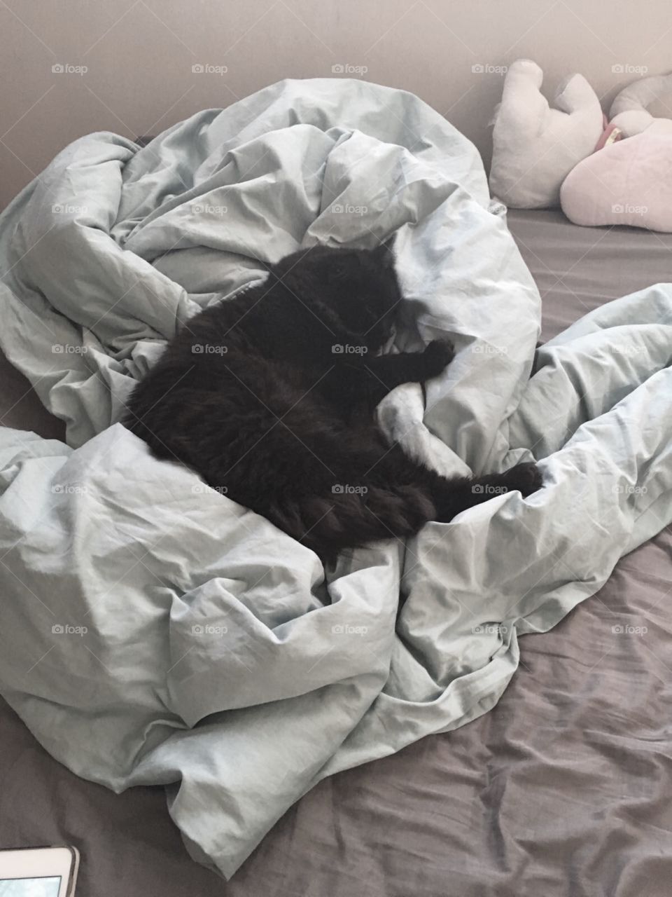 Bed, Sleep, Bedroom, Sheet, One