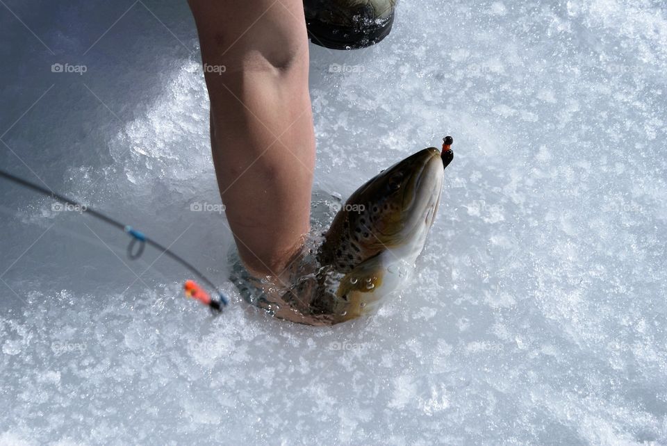 Ice fishing