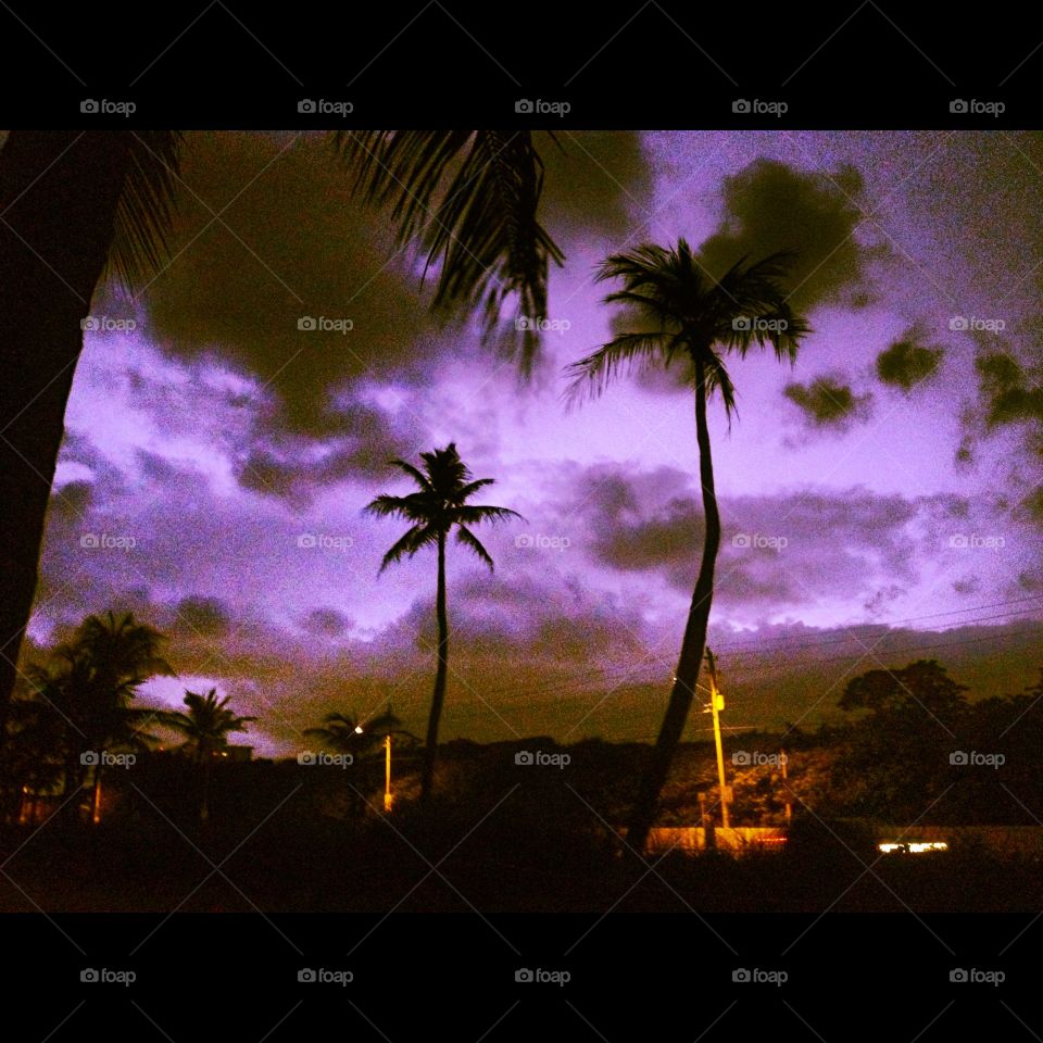 Beach, Sunset, Silhouette, Palm, Tree