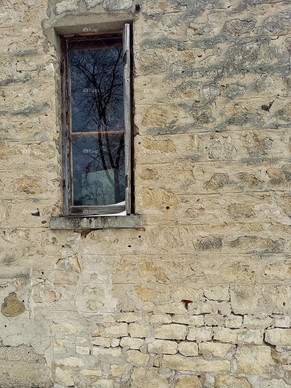 Window