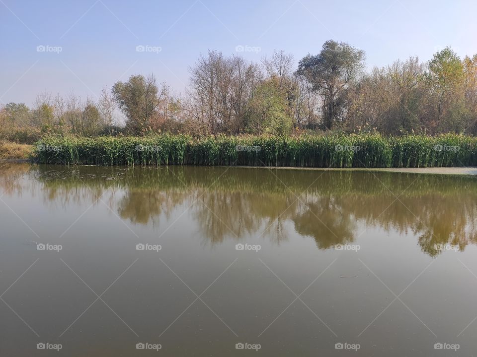 Carska bara Nature Wildlife Reserve vagetation reflection on water