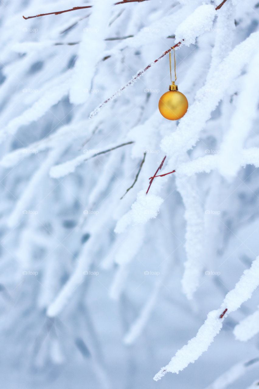 Orange ornament hanging from snow covered branch