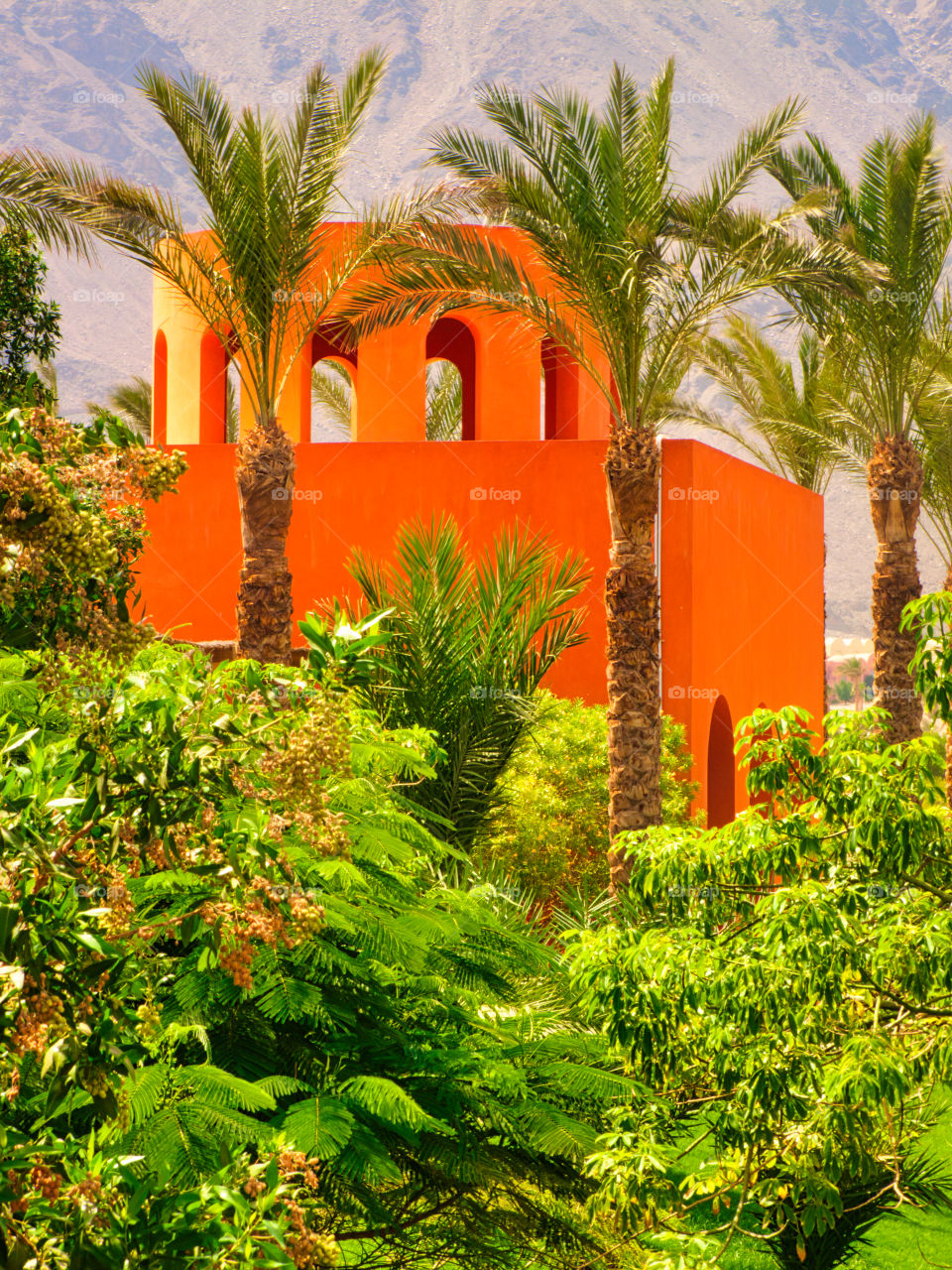 Orange colored villa surrounded by lushness of green garden.