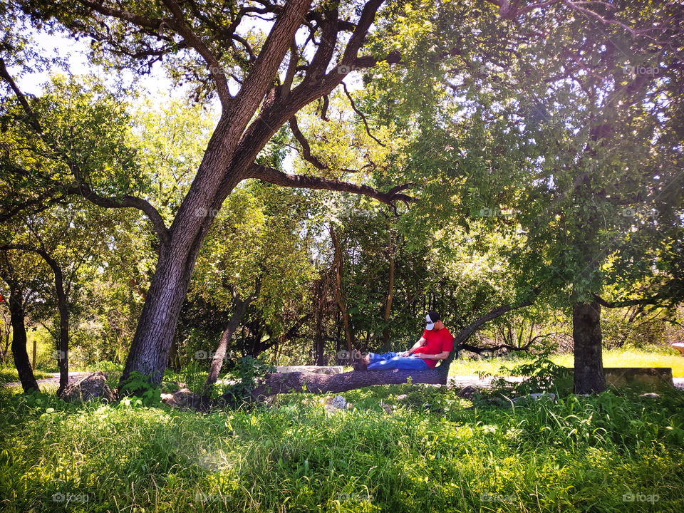 Relaxing summer outdoor nap in the tree canopy shade