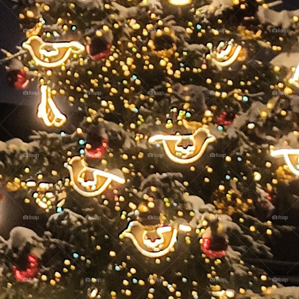 Christmas in Riga
