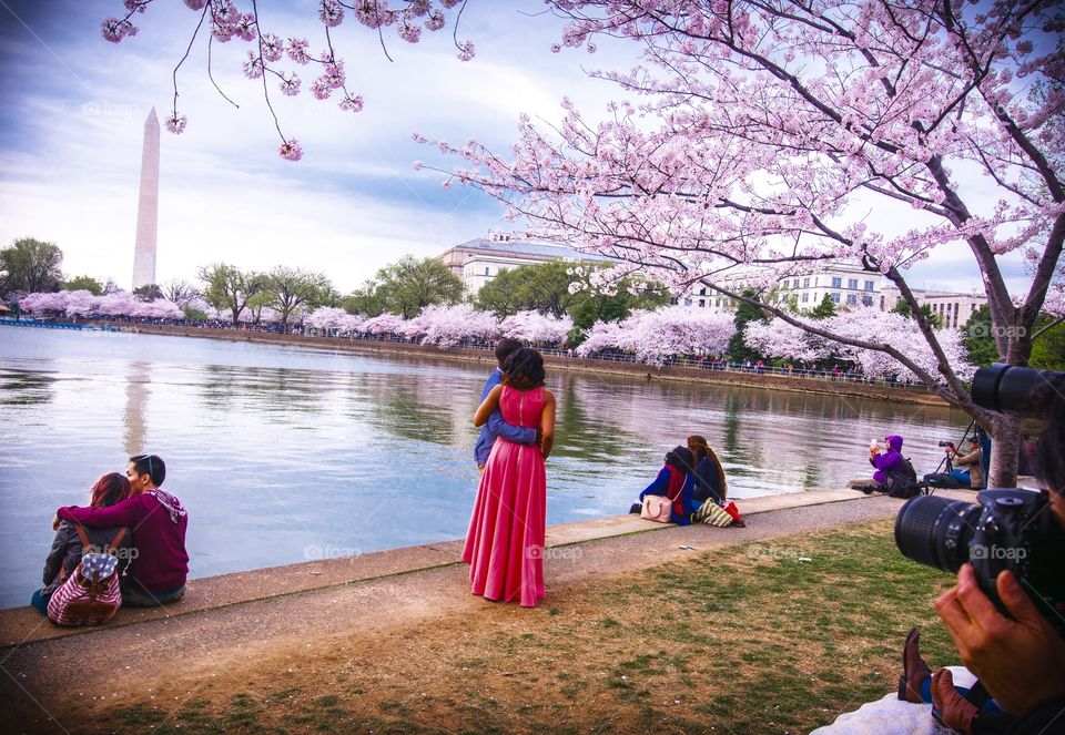 Love @ the Cherry blossoms 