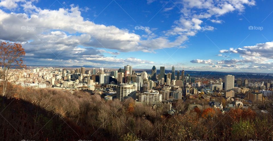 Mount Royal Lookout