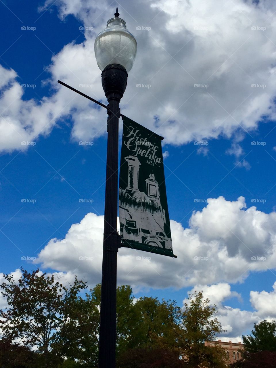 Historic Opelika County courthouse flag