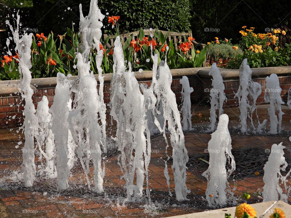 Urban Nature: Water - A fountain is an ornamental feature in a pool or lake which consists of a long narrow stream of water that is forced up into the air by a pump