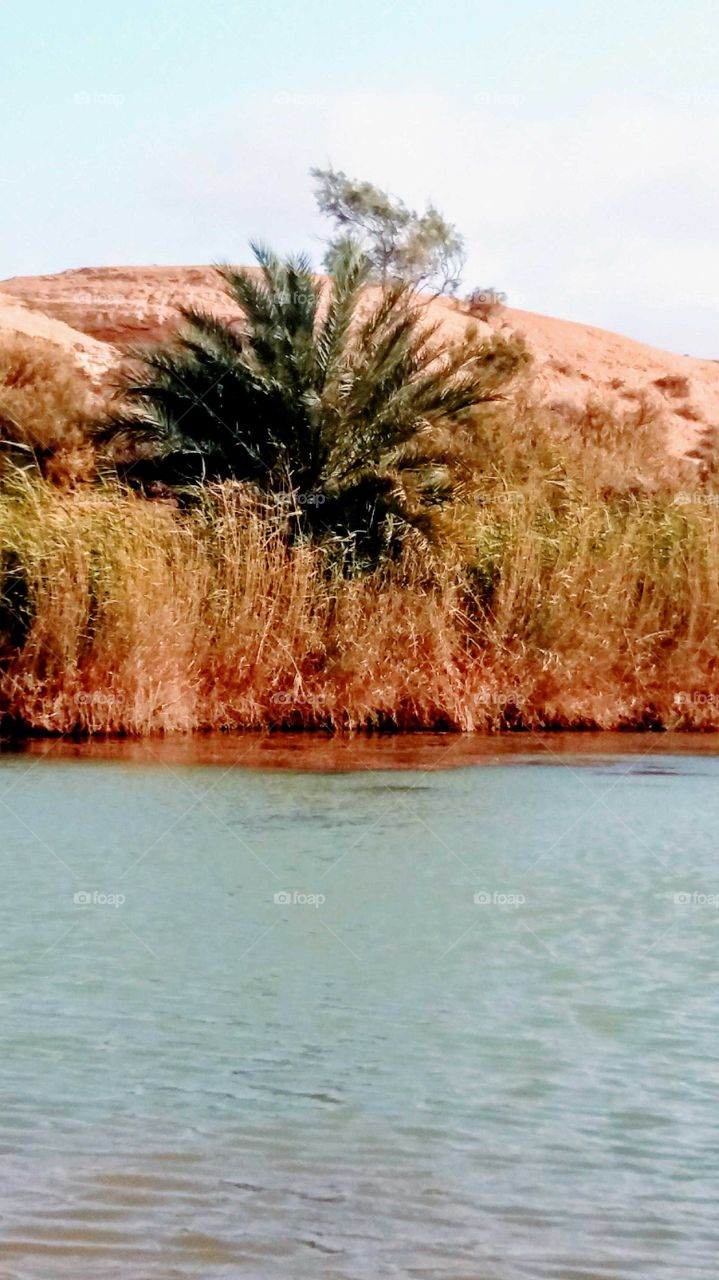 Oued wargnoun in the region of Tighmert in Gohlimine