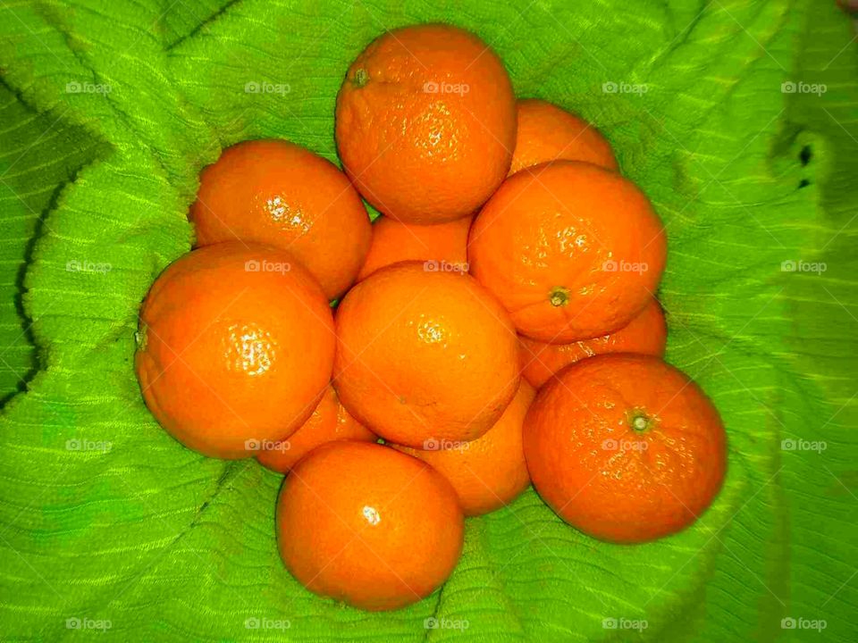 #clash of colour #foapfeb18