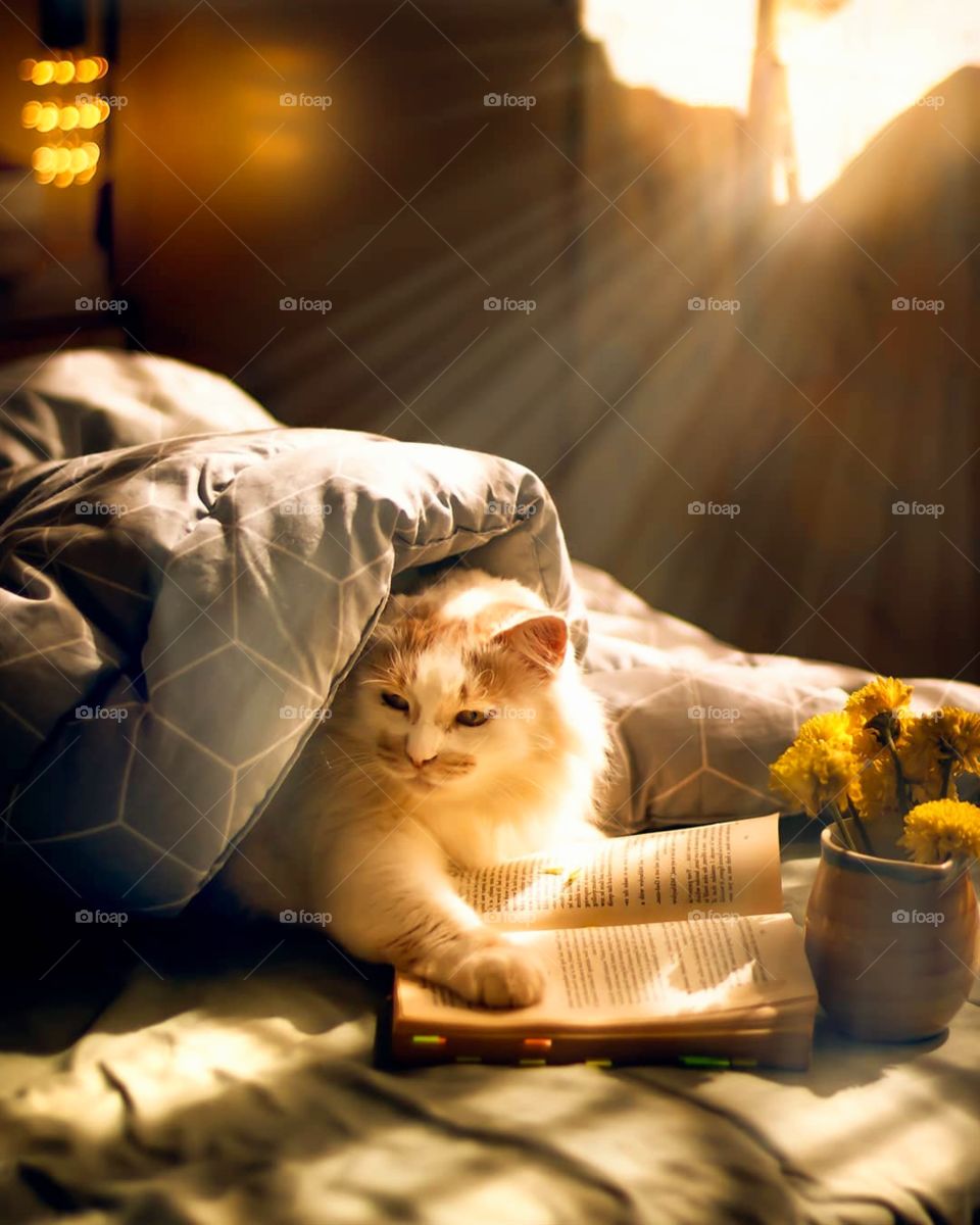 She want to have the whole bed to herself today