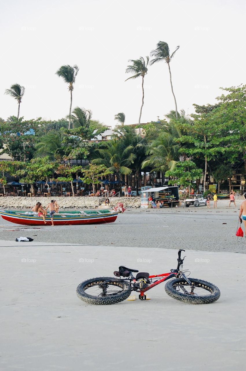 Bicycle in the beach against palm trees. Jericoacoara 