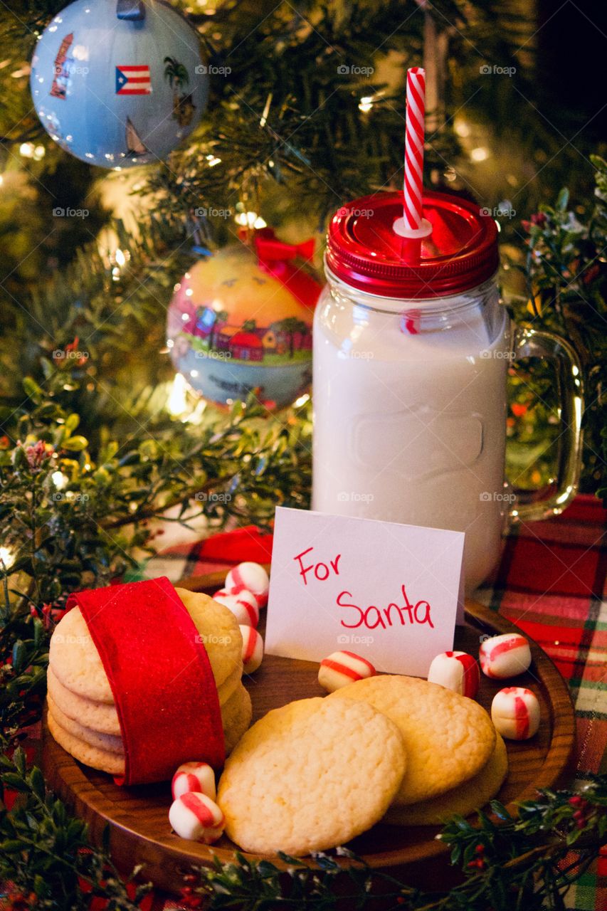 Christmas cookies and milk for Santa 