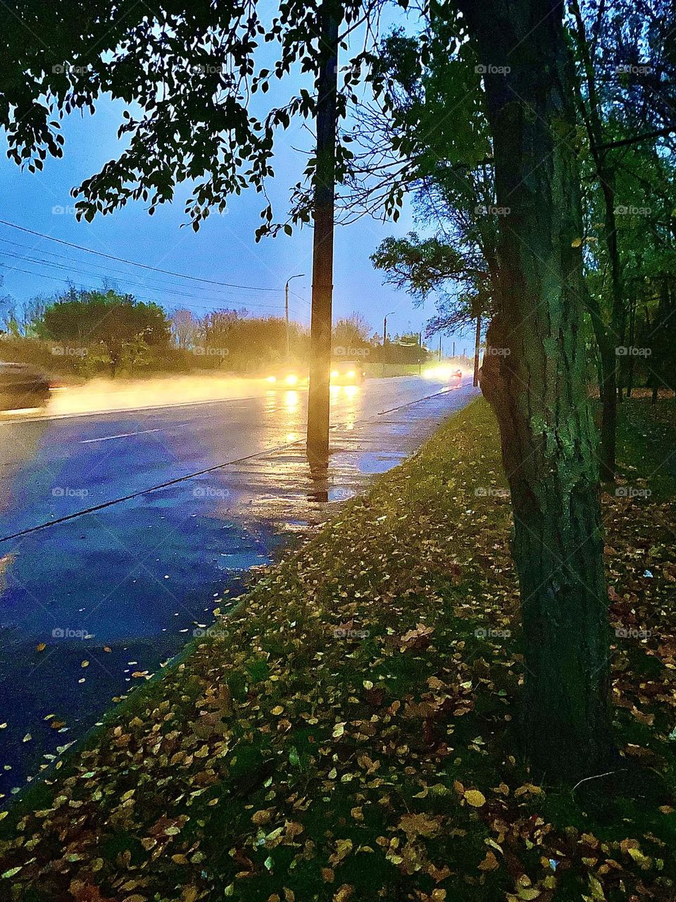 The road in the rain