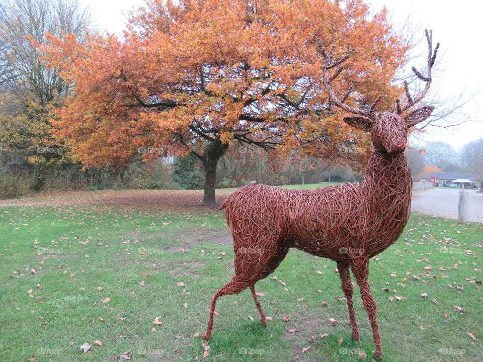 Rudolf the red nosed reindeer blending in with the autumnable tree behind him
