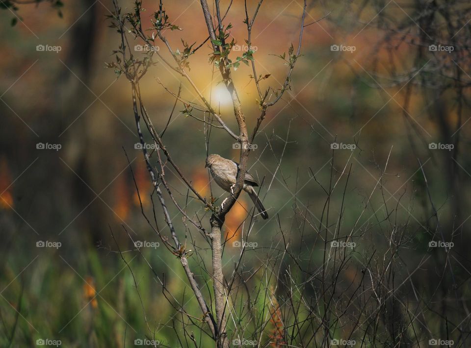 The Spring has Arrived 🌟🌟🌟