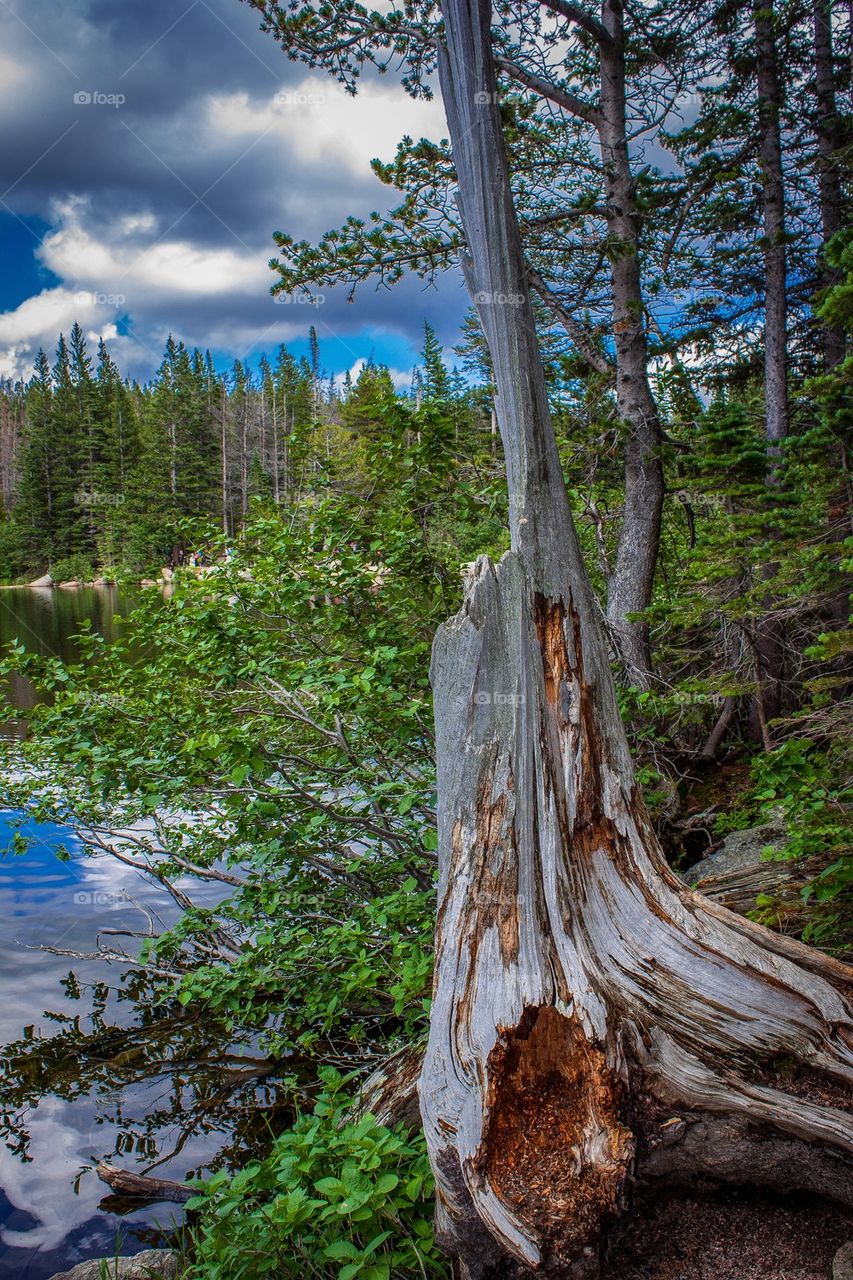 Scenic view of lake